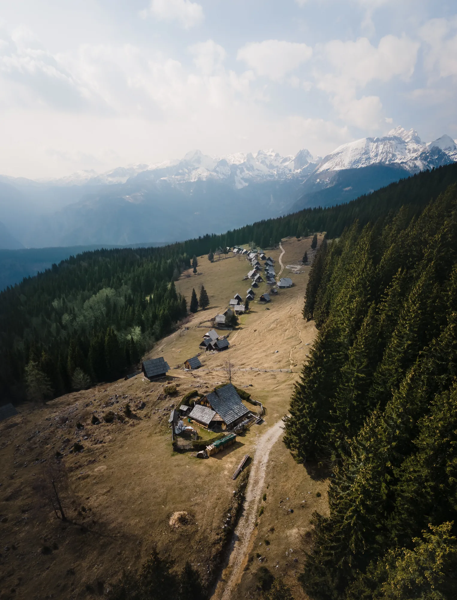 Aerial view of an alpine meadow with wooden shepherd huts and snow-capped mountains in the distance