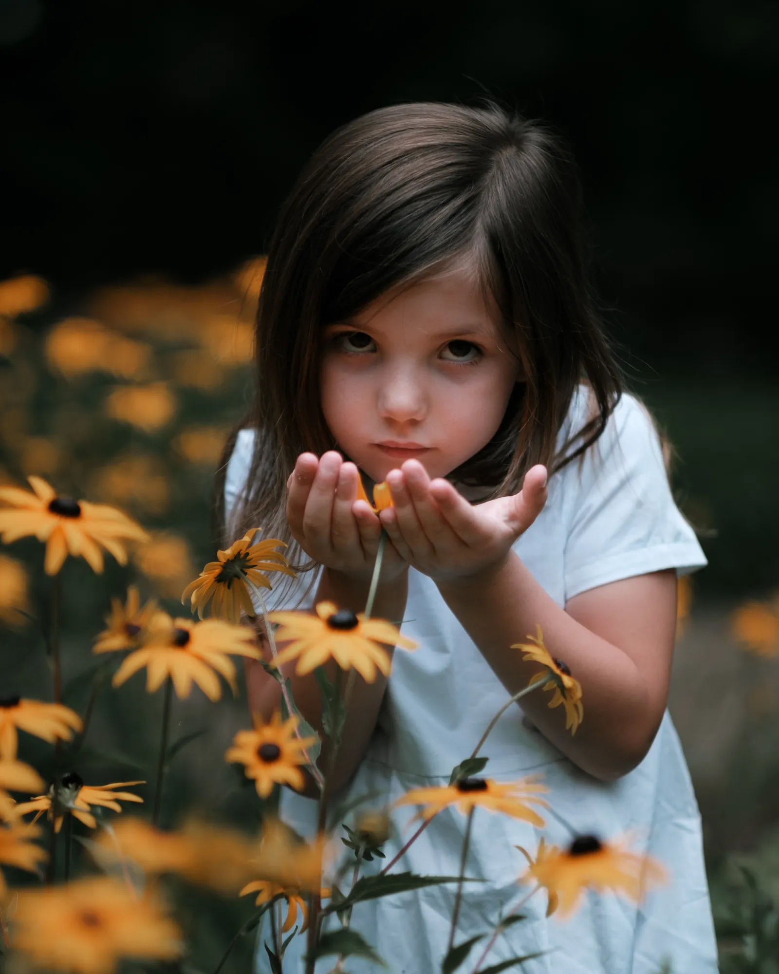 Young girl in a white shirt holding cupped hands among wildflower yellow daisies